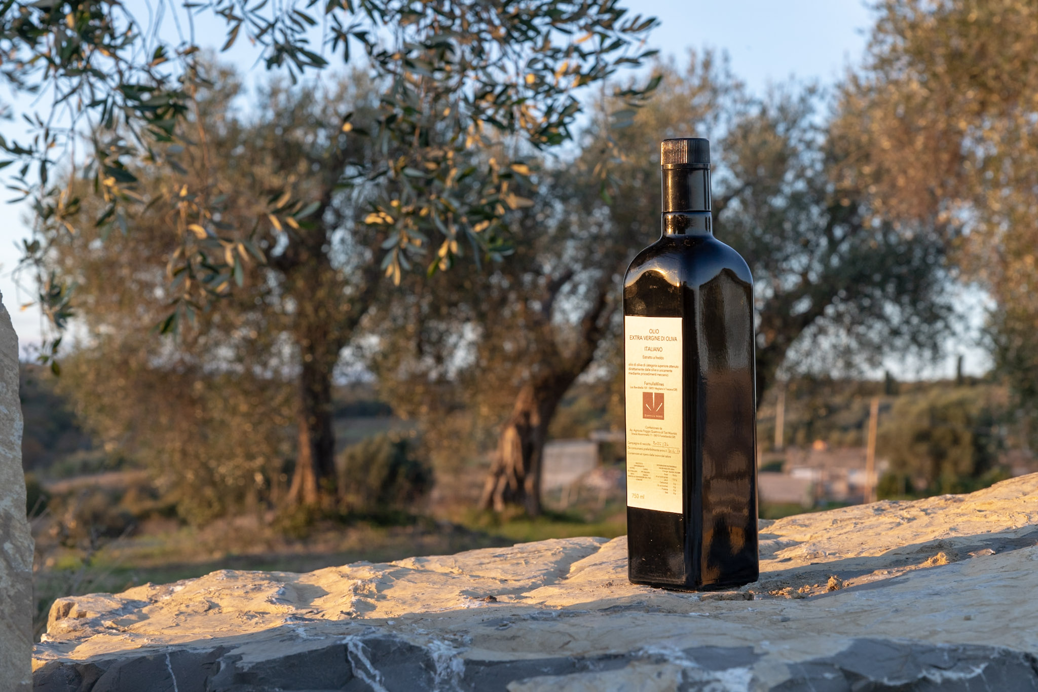 Olio EVO 